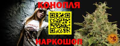 прущие грибы Апшеронск
