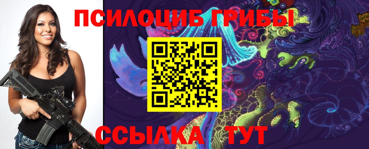 Галлюциногенные грибы прущие грибы Богородск